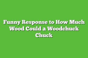 Funny Response to How Much Wood Could a Woodchuck Chuck